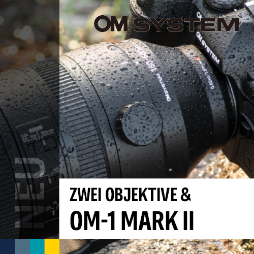 High-End-Kamera OM-1 II, das Super-Supertele 150-600 und ein kompaktes Weitwinkel